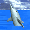 dolphin_tread_lg_sky.gif